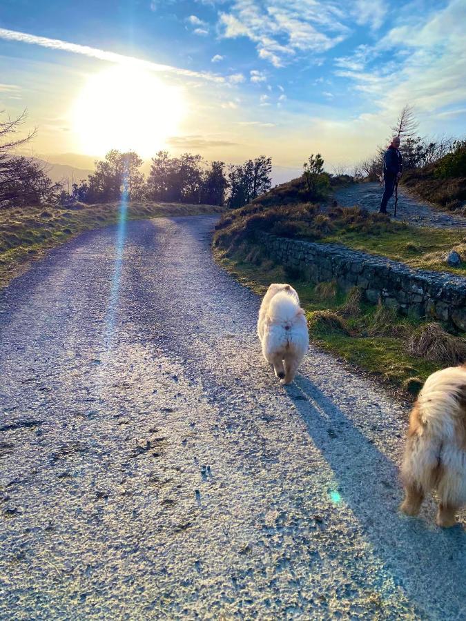 Tanglewood Stays Newry Extérieur photo