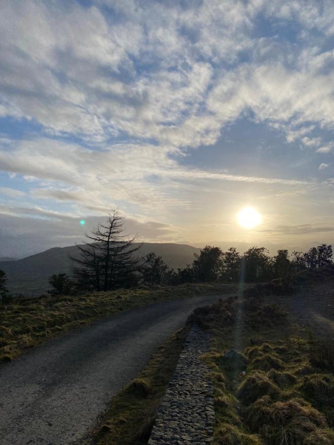 Tanglewood Stays Newry Extérieur photo